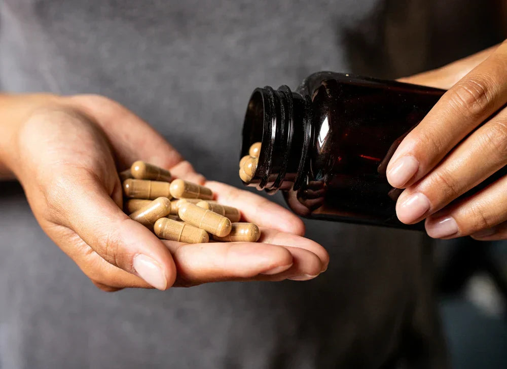 What is Ashwagandha Used For?
