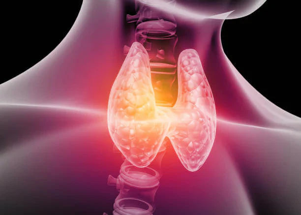 Compound Thyroid Medication: Custom T4/T3 Options, Benefits &amp; Risks