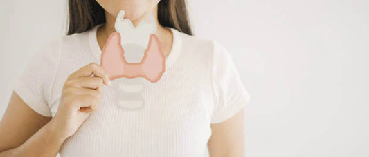 Thyroid Support Supplements: Boost Metabolism, Energy &amp; Mood
