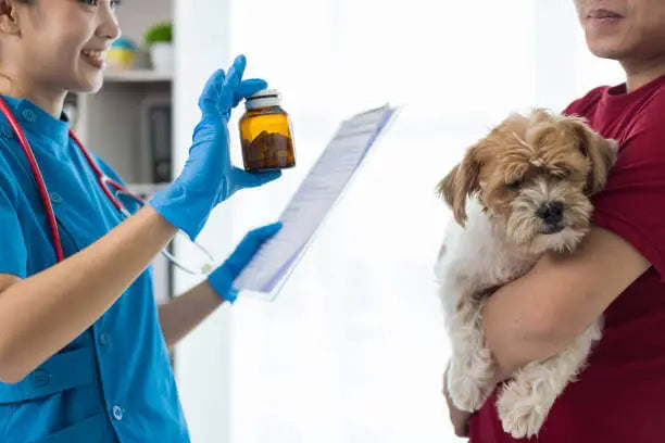 How Veterinary Compounding Can Support Pet Health